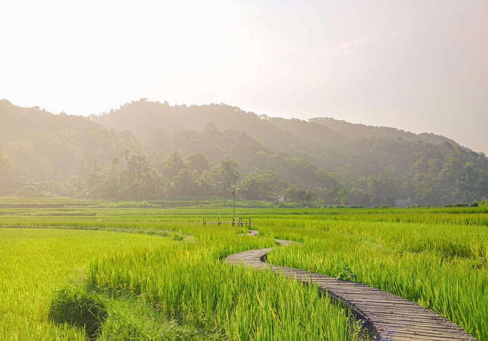 Ultimate 1 Month Vietnam Itinerary Guide